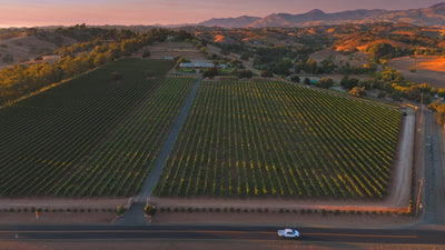 Drone video looking down on the tabalipa property with a house in the center of vineyards coming out of the front at sunset with purple and orange hazy mountains in the background peppered with trees.
